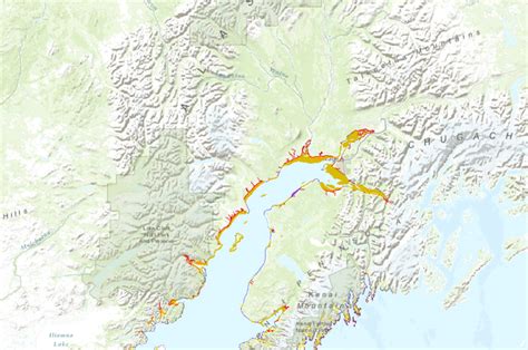 cook inlet environmental